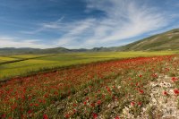 castelluccio 4 june 2013